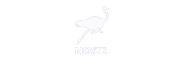 Nostr Symbol